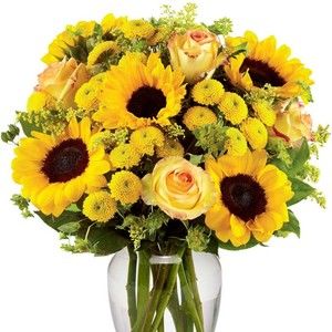 Meet your Posher, Lora